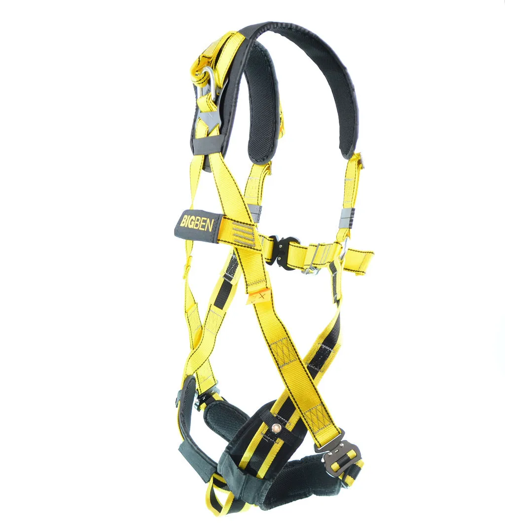 BIGBEN® Deluxe Comfort 2 Point Safety Harness - Quick Release