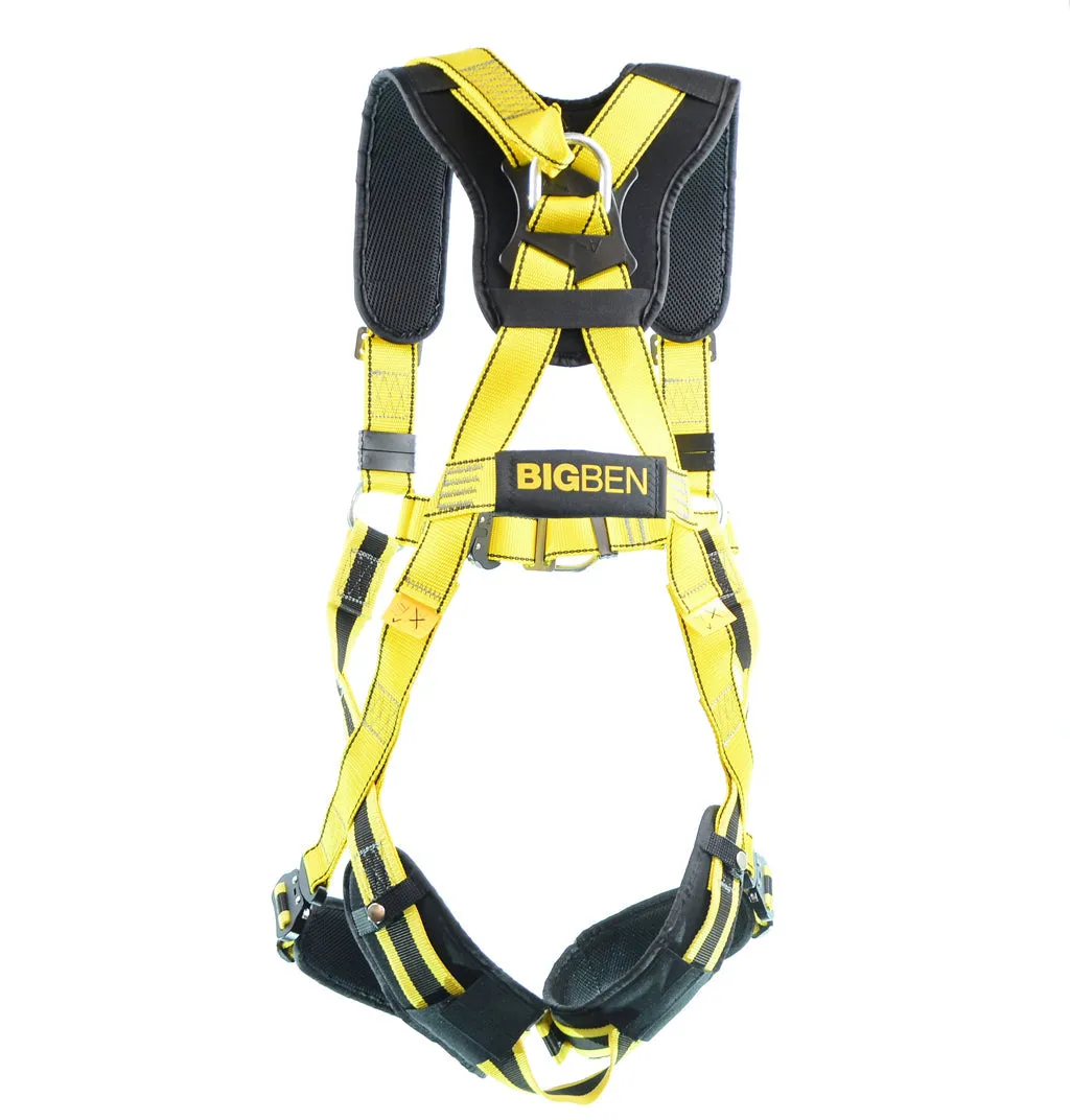 BIGBEN® Deluxe Comfort 2 Point Safety Harness - Quick Release