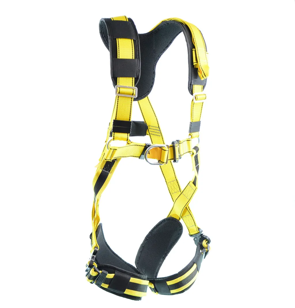 BIGBEN® Deluxe Comfort 2 Point Safety Harness - Quick Release