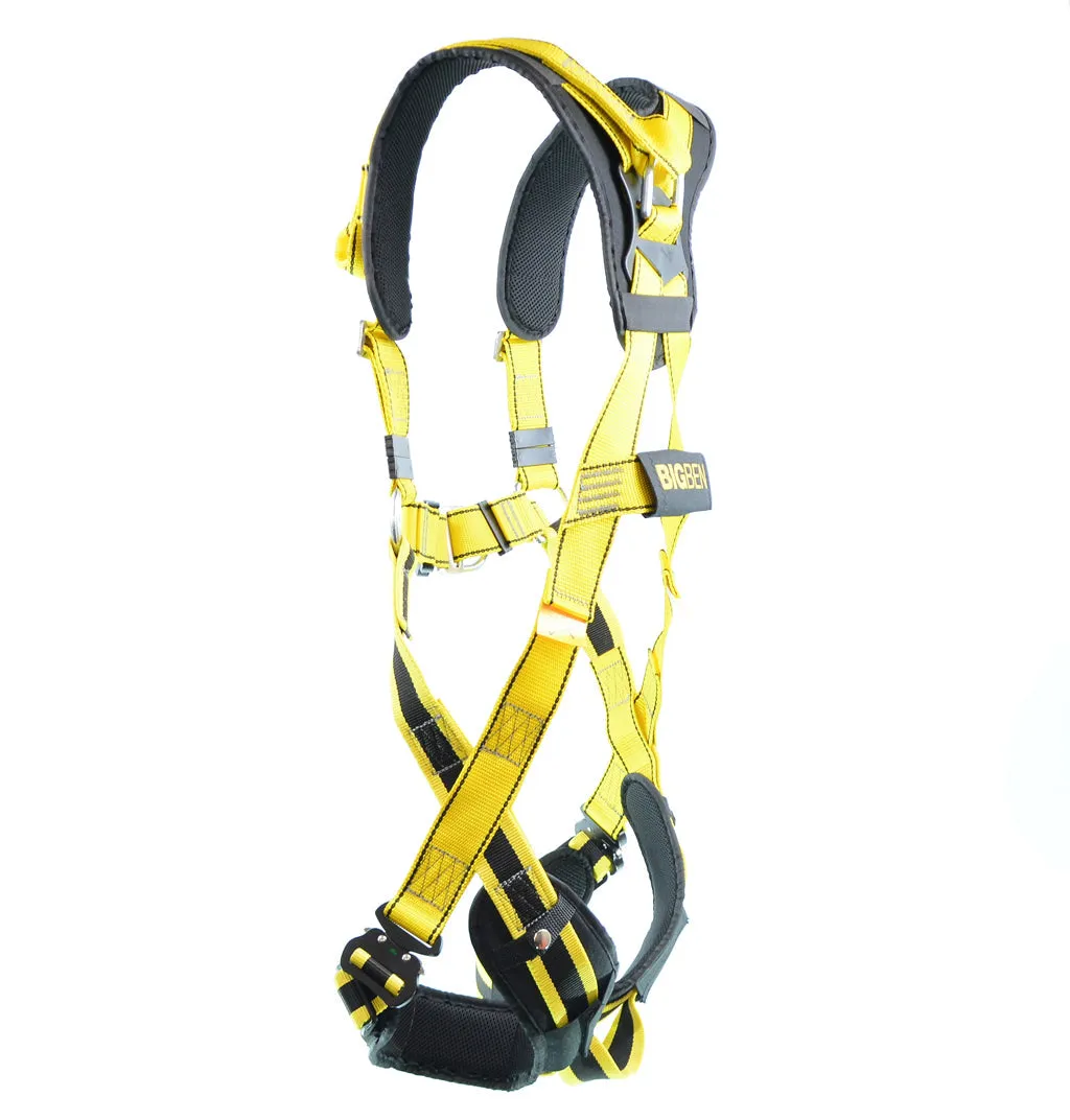 BIGBEN® Deluxe Comfort 2 Point Safety Harness - Quick Release