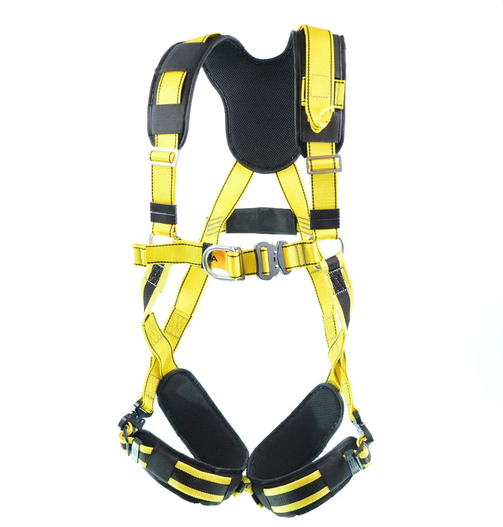 BIGBEN® Deluxe Comfort 2 Point Safety Harness - Quick Release