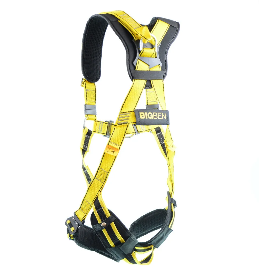 BIGBEN® Deluxe Comfort 2 Point Safety Harness - Quick Release