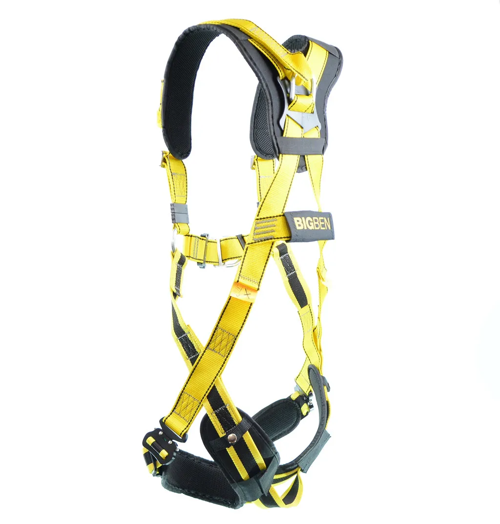 BIGBEN® Deluxe Comfort 2 Point Safety Harness - Quick Release