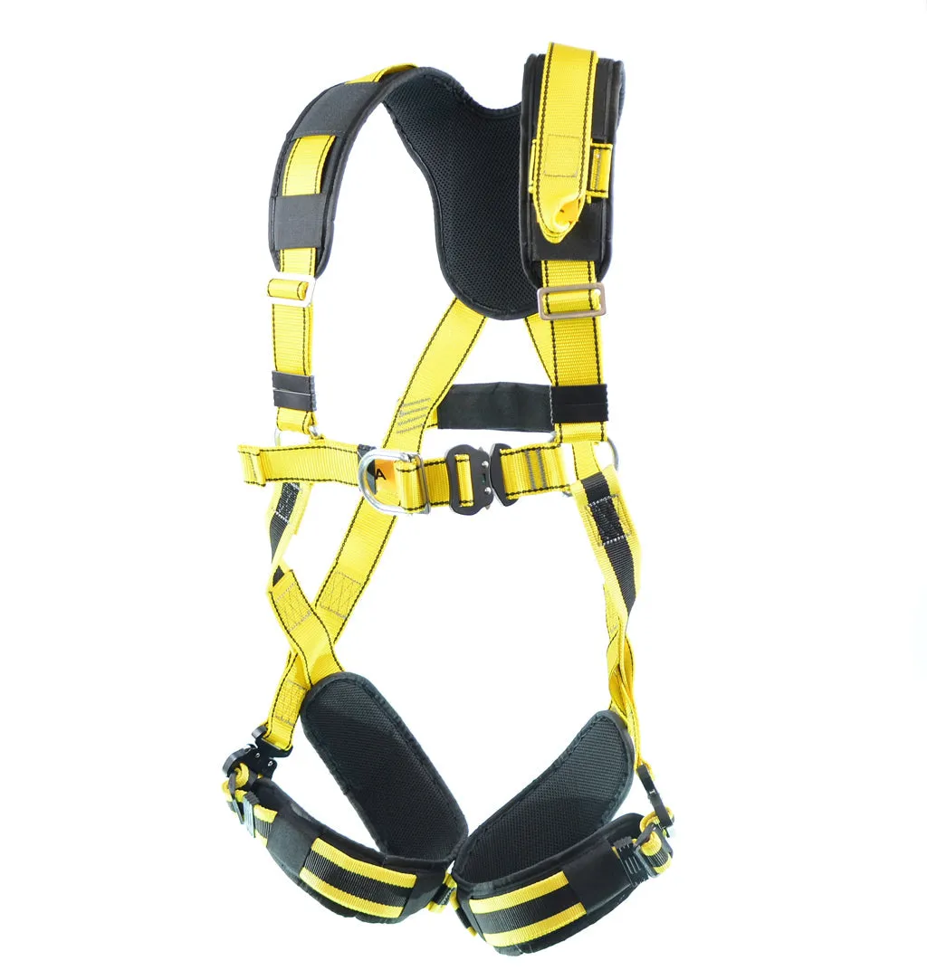 BIGBEN® Deluxe Comfort 2 Point Safety Harness - Quick Release