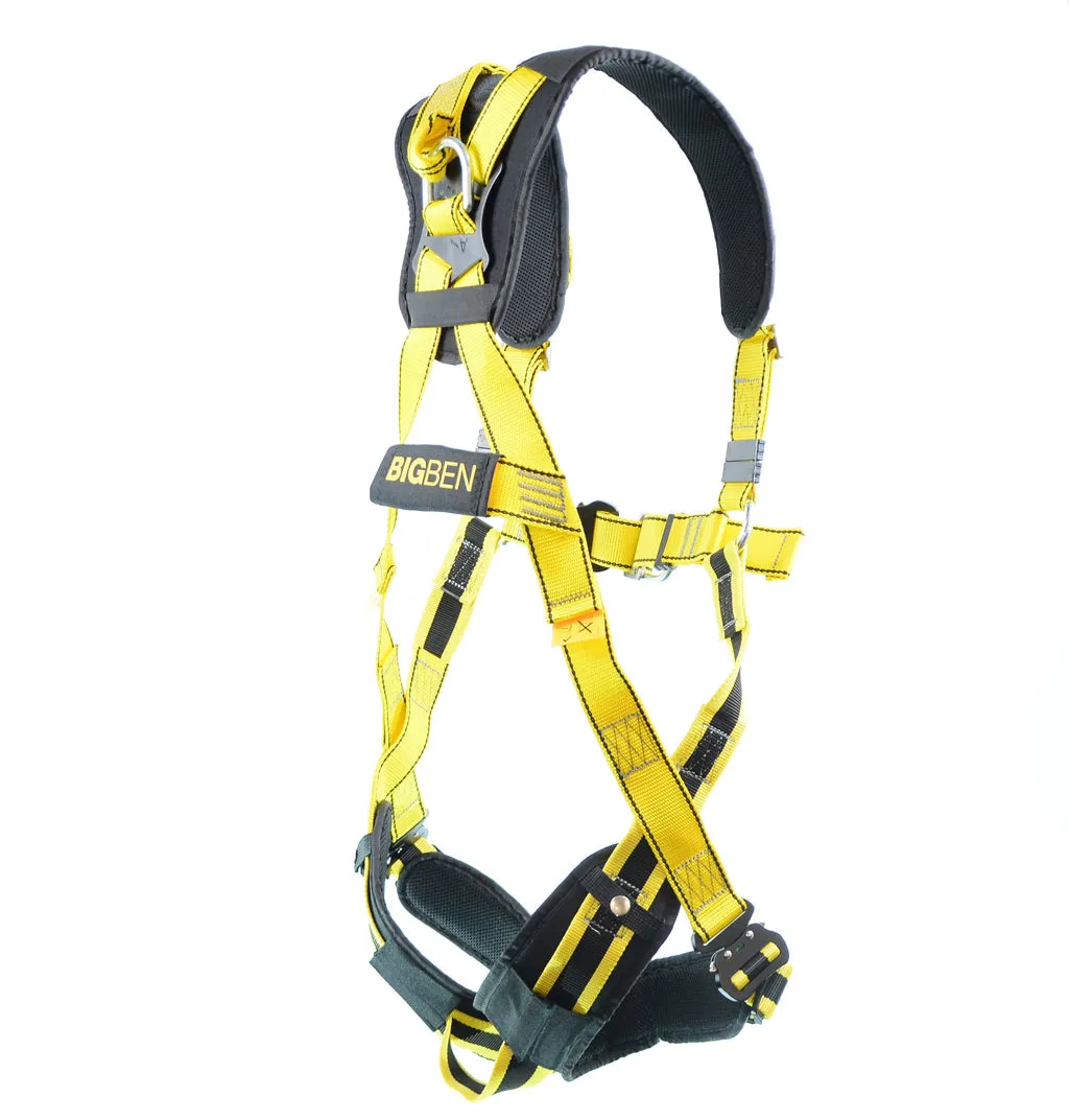 BIGBEN® Deluxe Comfort 2 Point Safety Harness - Quick Release