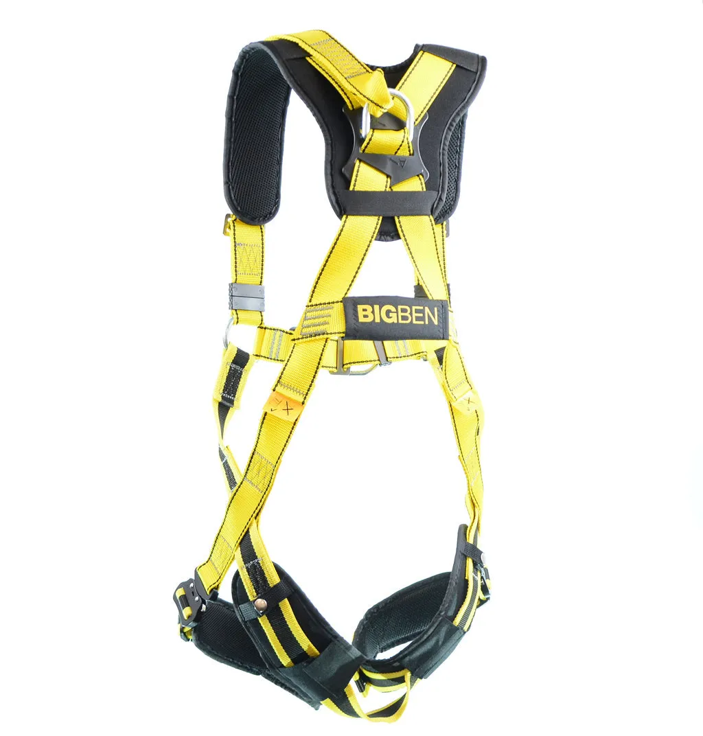 BIGBEN® Deluxe Comfort 2 Point Safety Harness - Quick Release