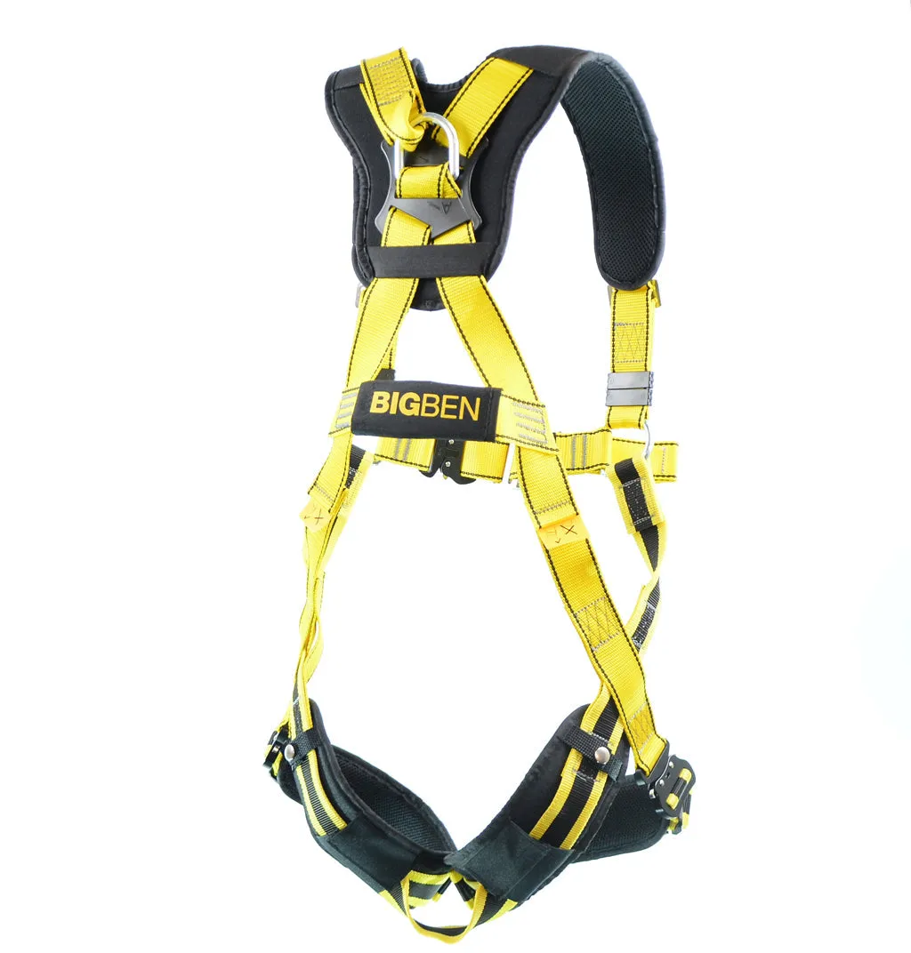 BIGBEN® Deluxe Comfort 2 Point Safety Harness - Quick Release