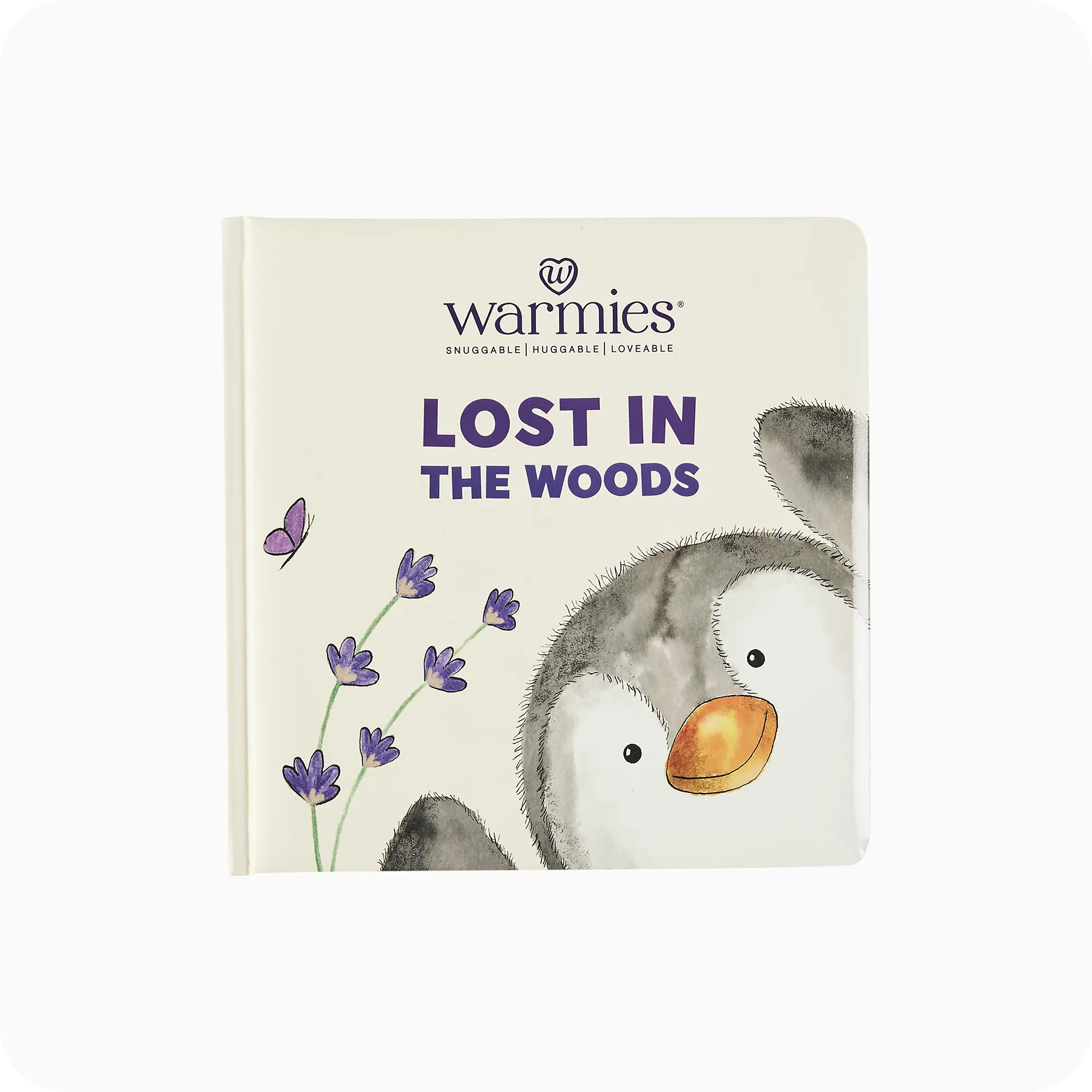 Lost in the Woods Board Book