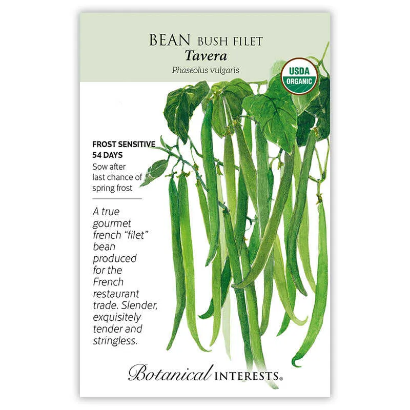 Tavera Filet Bush Bean Seeds